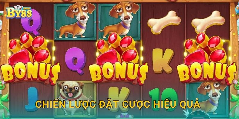 Chiến lược đặt cược hiệu quả